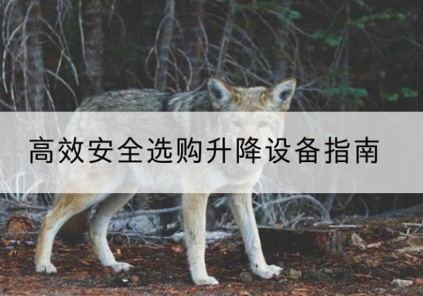 营口升降货梯厂家推荐-*安全选购升降设备指南