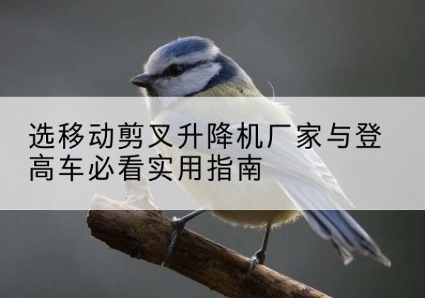 营口电动升降机厂家-选移动剪叉升降机厂家与登高车必看实用指南