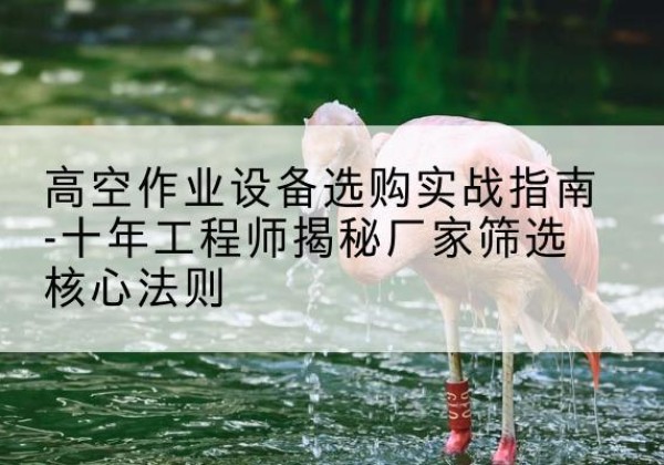 营口剪叉式升降机厂家-高空作业设备选购实战指南-十年工程师揭秘厂家筛选核心法则